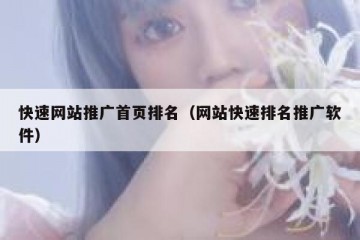 快速网站推广首页排名（网站快速排名推广软件）