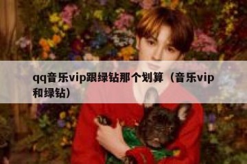 qq音乐vip跟绿钻那个划算（音乐vip和绿钻）