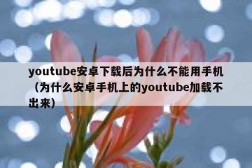 youtube安卓下载后为什么不能用手机（为什么安卓手机上的youtube加载不出来）