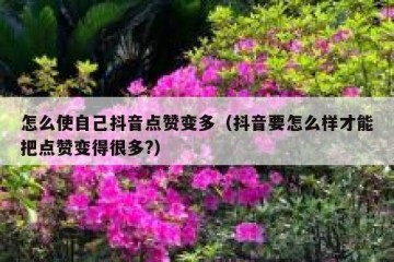 怎么使自己抖音点赞变多（抖音要怎么样才能把点赞变得很多?）