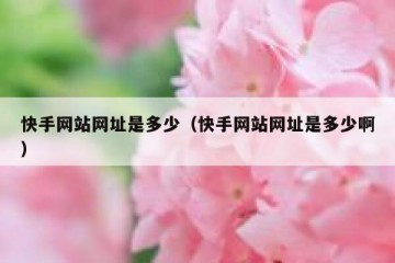 快手网站网址是多少（快手网站网址是多少啊）