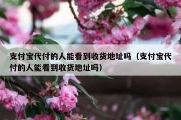 支付宝代付的人能看到收货地址吗（支付宝代付的人能看到收货地址吗）