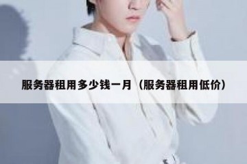 服务器租用多少钱一月（服务器租用低价）