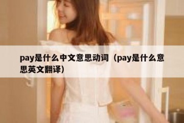 pay是什么中文意思动词（pay是什么意思英文翻译）