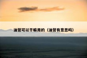 油管可以干嘛用的（油管有意思吗）