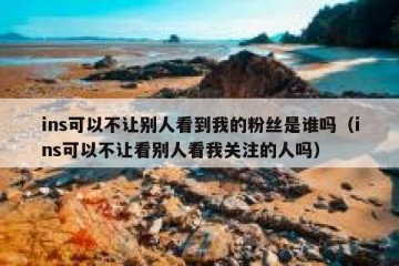 ins可以不让别人看到我的粉丝是谁吗（ins可以不让看别人看我关注的人吗）