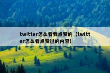 twitter怎么看我点赞的（twitter怎么看点赞过的内容）