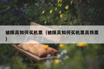 被限高如何买机票（被限高如何买机票高铁票）