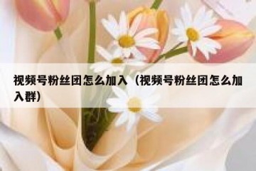 视频号粉丝团怎么加入（视频号粉丝团怎么加入群）