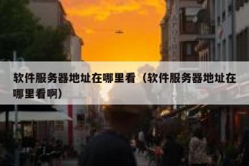 软件服务器地址在哪里看（软件服务器地址在哪里看啊）