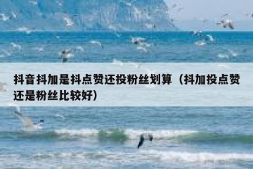 抖音抖加是抖点赞还投粉丝划算（抖加投点赞还是粉丝比较好）