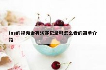 ins的视频会有访客记录吗怎么看的简单介绍