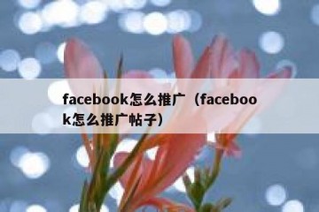 facebook怎么推广（facebook怎么推广帖子）