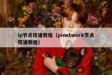 ip节点搭建教程（pinetwork节点搭建教程）