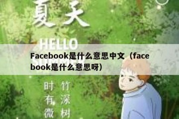 Facebook是什么意思中文（facebook是什么意思呀）