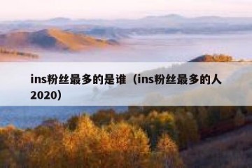 ins粉丝最多的是谁（ins粉丝最多的人2020）