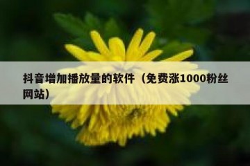 抖音增加播放量的软件（免费涨1000粉丝网站）