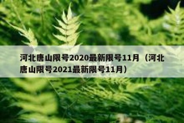 河北唐山限号2020最新限号11月（河北唐山限号2021最新限号11月）