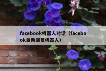 facebook机器人对话（facebook自动回复机器人）