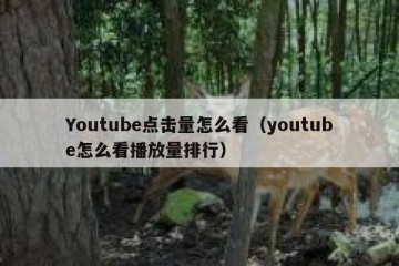 Youtube点击量怎么看（youtube怎么看播放量排行）