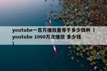 youtube一百万播放量等于多少钱啊（youtube 1000万次播放 多少钱）