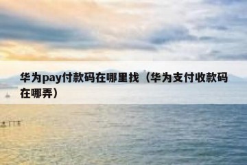 华为pay付款码在哪里找（华为支付收款码在哪弄）