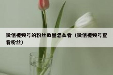 微信视频号的粉丝数量怎么看（微信视频号查看粉丝）