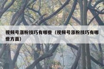 视频号涨粉技巧有哪些（视频号涨粉技巧有哪些方面）