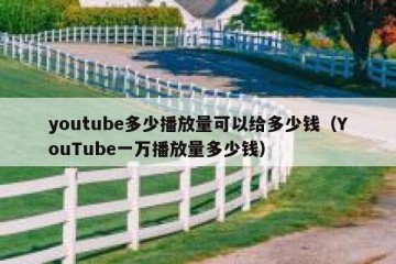 youtube多少播放量可以给多少钱（YouTube一万播放量多少钱）