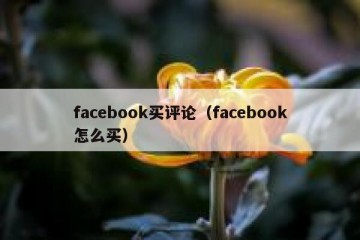 facebook买评论（facebook怎么买）