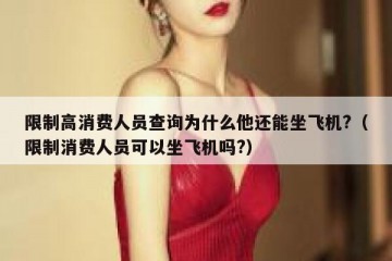 限制高消费人员查询为什么他还能坐飞机?（限制消费人员可以坐飞机吗?）