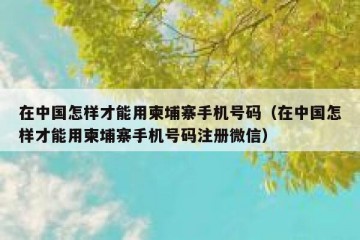 在中国怎样才能用柬埔寨手机号码（在中国怎样才能用柬埔寨手机号码注册微信）