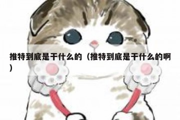 推特到底是干什么的（推特到底是干什么的啊）