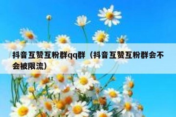 抖音互赞互粉群qq群（抖音互赞互粉群会不会被限流）