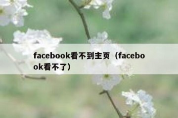 facebook看不到主页（facebook看不了）