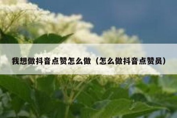 我想做抖音点赞怎么做（怎么做抖音点赞员）