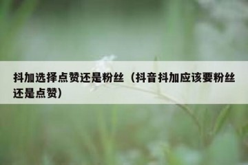 抖加选择点赞还是粉丝（抖音抖加应该要粉丝还是点赞）
