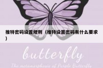 推特密码设置规则（推特设置密码有什么要求）