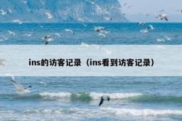 ins的访客记录（ins看到访客记录）