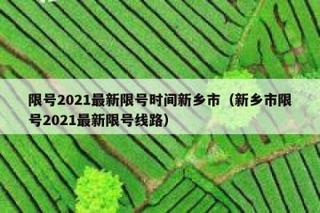 限号2021最新限号时间新乡市（新乡市限号2021最新限号线路）