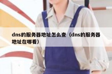 dns的服务器地址怎么查（dns的服务器地址在哪看）