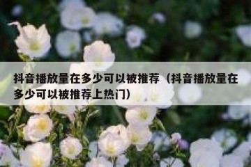 抖音播放量在多少可以被推荐（抖音播放量在多少可以被推荐上热门）