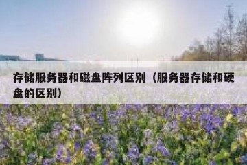 存储服务器和磁盘阵列区别（服务器存储和硬盘的区别）