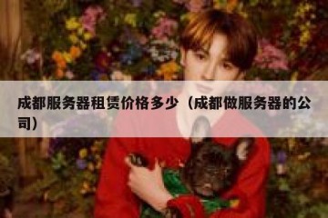 成都服务器租赁价格多少（成都做服务器的公司）