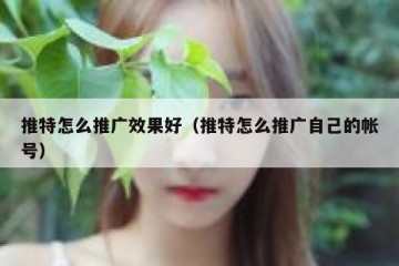 推特怎么推广效果好（推特怎么推广自己的帐号）