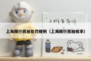 上海限行抓拍处罚规则（上海限行抓拍概率）