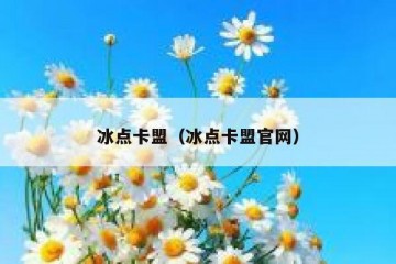 冰点卡盟（冰点卡盟官网）