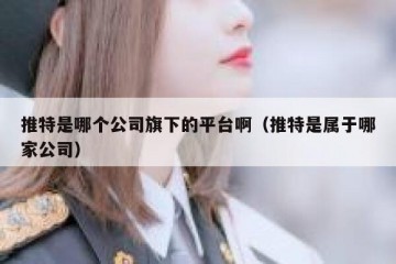 推特是哪个公司旗下的平台啊（推特是属于哪家公司）