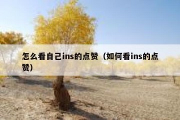 怎么看自己ins的点赞（如何看ins的点赞）