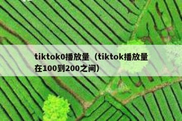 tiktok0播放量（tiktok播放量在100到200之间）
